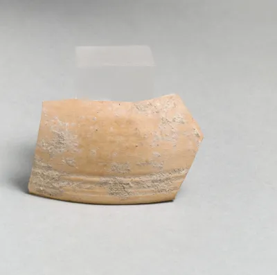 Vase fragment