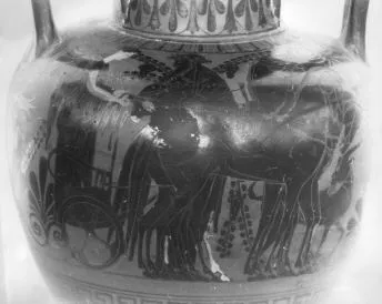 AMPHORA, NECK (ATHENIAN, BLACK-FIGURE)