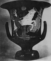 KRATER, CALYX (ATHENIAN, RED-FIGURE)