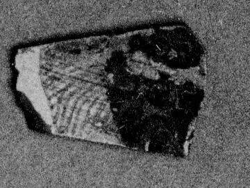 CHALICE, FRAGMENT (EAST GREEK, NAUCRATITE)