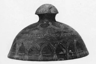 LID (VILLA NOVA)