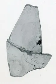 LEKYTHOS, FRAGMENTS (ATHENIAN, RED-FIGURE)