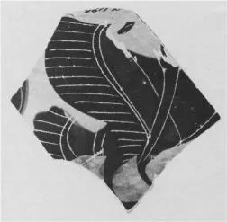 LEKANIS LID, FRAGMENT (ATHENIAN, BLACK-FIGURE)