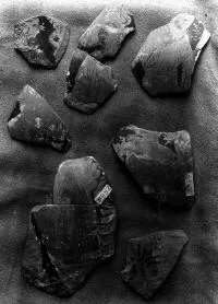 FRAGMENT (ATHENIAN, RED-FIGURE)