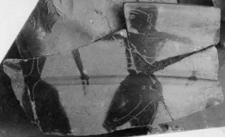 CUP, SIANA, FRAGMENTS (ATHENIAN, BLACK-FIGURE)
