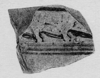 KRATER, FRAGMENT (ATHENIAN GEOMETRIC, SILHOUETTE)