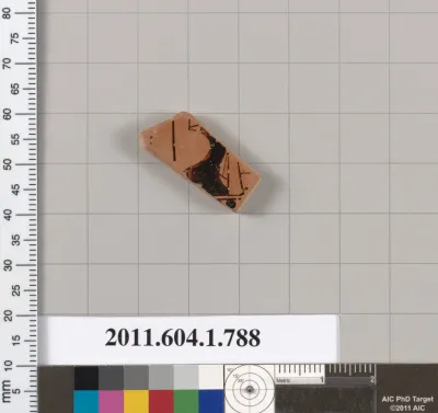 Terracotta fragment of a kylix (drinking cup)