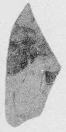 FRAGMENT (ATHENIAN, RED-FIGURE)