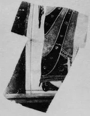 AMPHORA, BELLY, FRAGMENT (ATHENIAN, BLACK-FIGURE)
