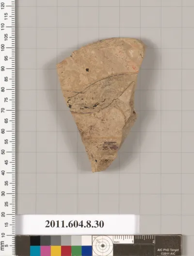 Terracotta fragment of an amphora (jar)?