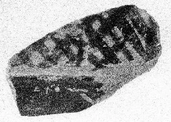 MUG, FRAGMENT (LACONIAN GEOMETRIC)