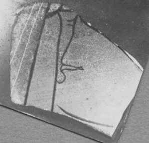 FRAGMENT (ATHENIAN, RED-FIGURE)