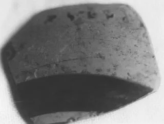 CUP, LITTLE MASTER LIP, FRAGMENT (ATHENIAN, BLACK-FIGURE)