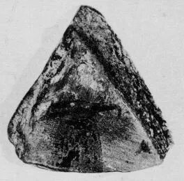 KRATER, FRAGMENT (ATHENIAN GEOMETRIC, SILHOUETTE)