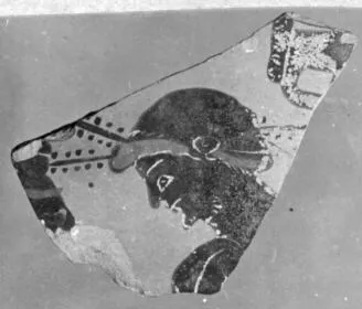 HYDRIA, FRAGMENT (ATHENIAN, BLACK-FIGURE)