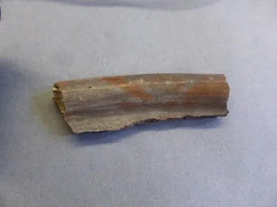 vase ; fragment