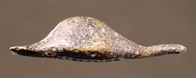 Entenkopf von einem Griff