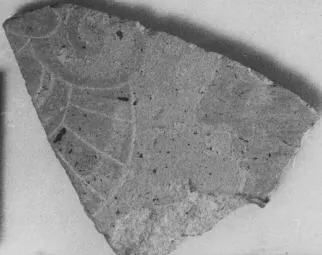 FRAGMENT (ATHENIAN, BLACK-FIGURE)
