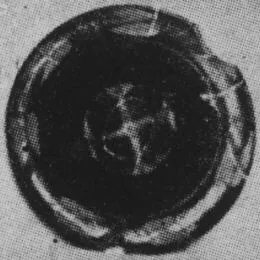 PLATE (ATHENIAN, RED-FIGURE)