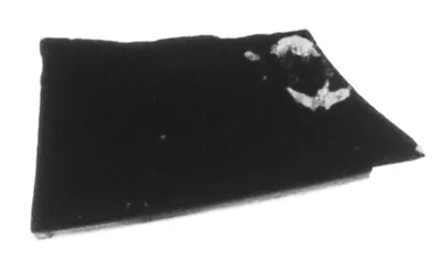 Attic Black-Figure Band Cup Fragment