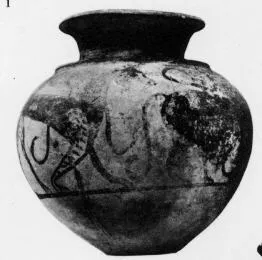 OLLA (CAPENA, SILHOUETTE)