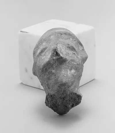 Male Head