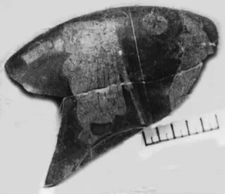 CUP, FRAGMENT (ATHENIAN, RED-FIGURE)