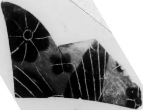 SKYPHOS, FRAGMENT (ATHENIAN, BLACK-FIGURE)