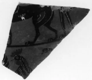 FRAGMENT (ATHENIAN, BLACK-FIGURE)