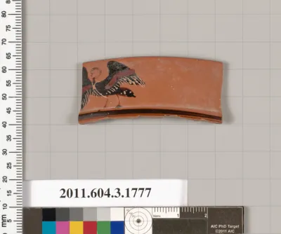 Terracotta rim fragment of a kylix: Lip cup (drinking cup)