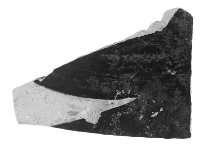 Etruscan Black-Figure Vase Fragment