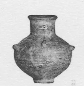 AMPHORA, BELLY (EGYPTIAN)