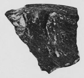 FRAGMENTS (HELLADIC)