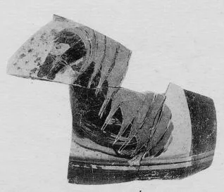 AMPHORA, NECK, FRAGMENT (ATHENIAN, BLACK-FIGURE)