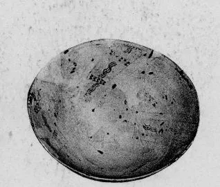 BOWL (PROTO-ELAMITE)