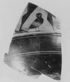 AMPHORA, BELLY, FRAGMENT (ATHENIAN, BLACK-FIGURE)