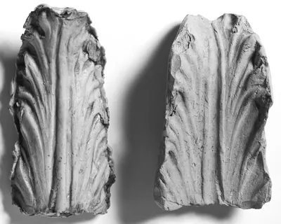 Mold of a Leaf