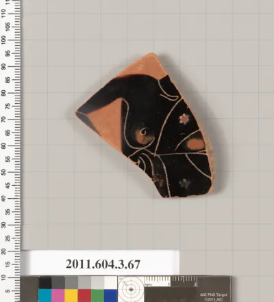 Terracotta fragment of an amphora (jar)