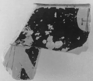 KRATER, BELL, FRAGMENT (ATHENIAN, RED-FIGURE)