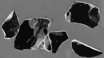 PELIKE, FRAGMENT (ATHENIAN, RED-FIGURE)