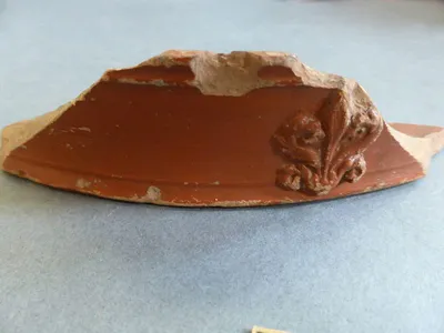 coupe ; fragment