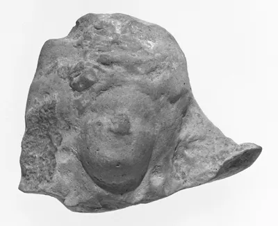 Female Head