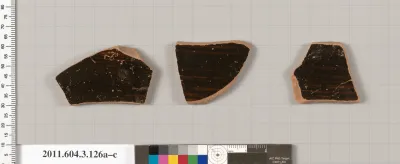 Terracotta fragments of amphorae (jars)