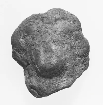 Female Head