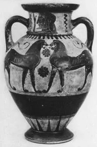 AMPHORA, NECK (ATHENIAN, BLACK-FIGURE)