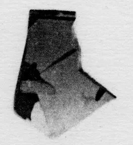 CUP (?), FRAGMENT (ATHENIAN, BLACK-FIGURE)