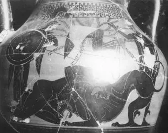 AMPHORA, BELLY, TYPE B (ATHENIAN, BLACK-FIGURE)
