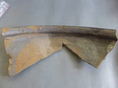 plat ; fragment