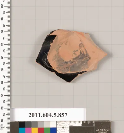 Terracotta fragments of kylikes (drinking cups)