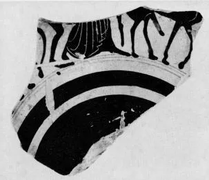 CUP, FRAGMENTS (ATHENIAN, BLACK-FIGURE)